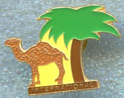 CAMEL  INTERNATIONAL