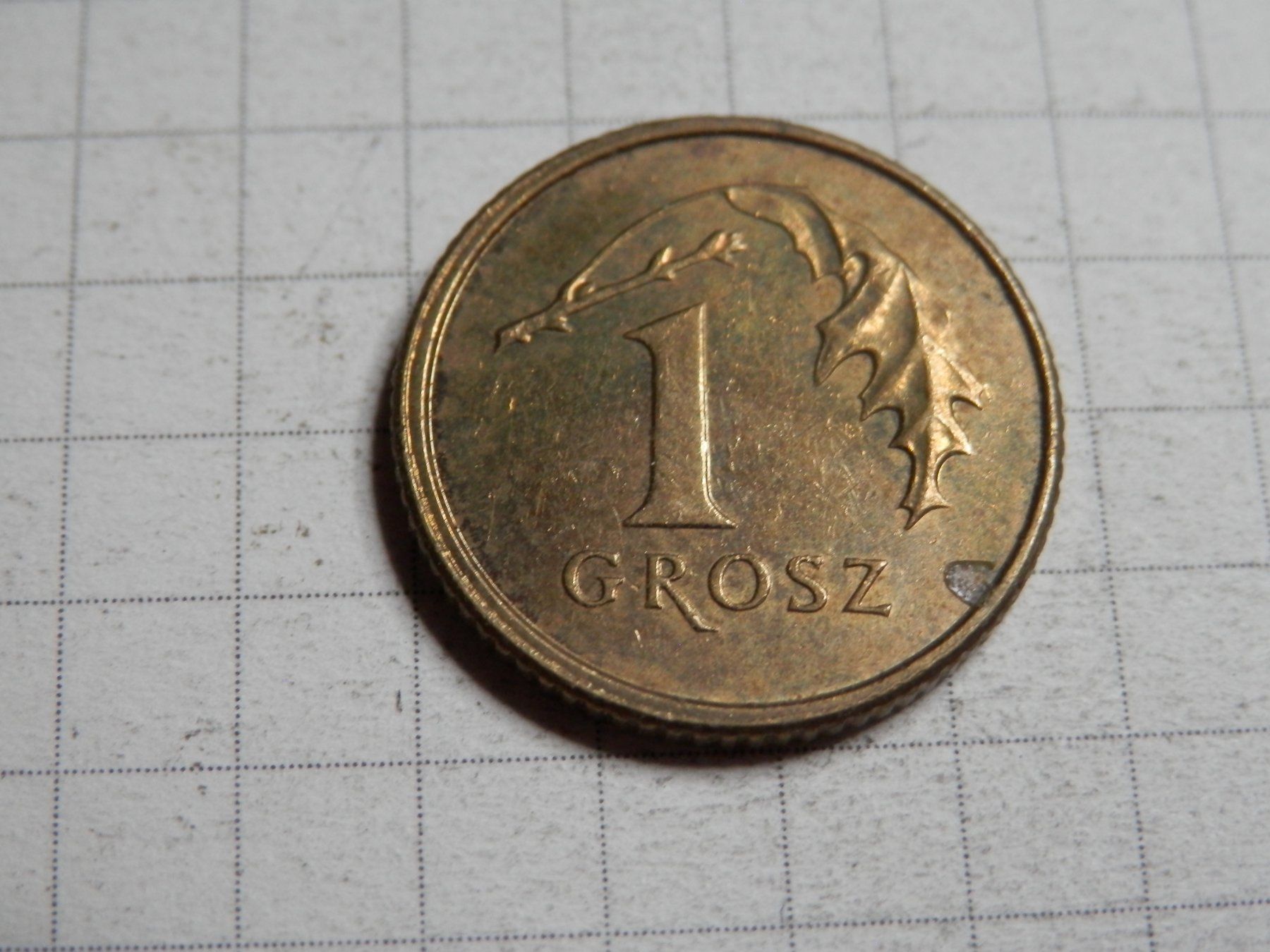 Tutti le monete: Polen 1 Grosz, 2009 – Usato da Weiach venduto da weiach81