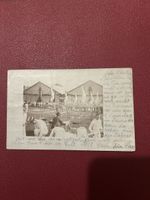Turnfest 1906
