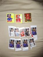 Paninisticker 2026