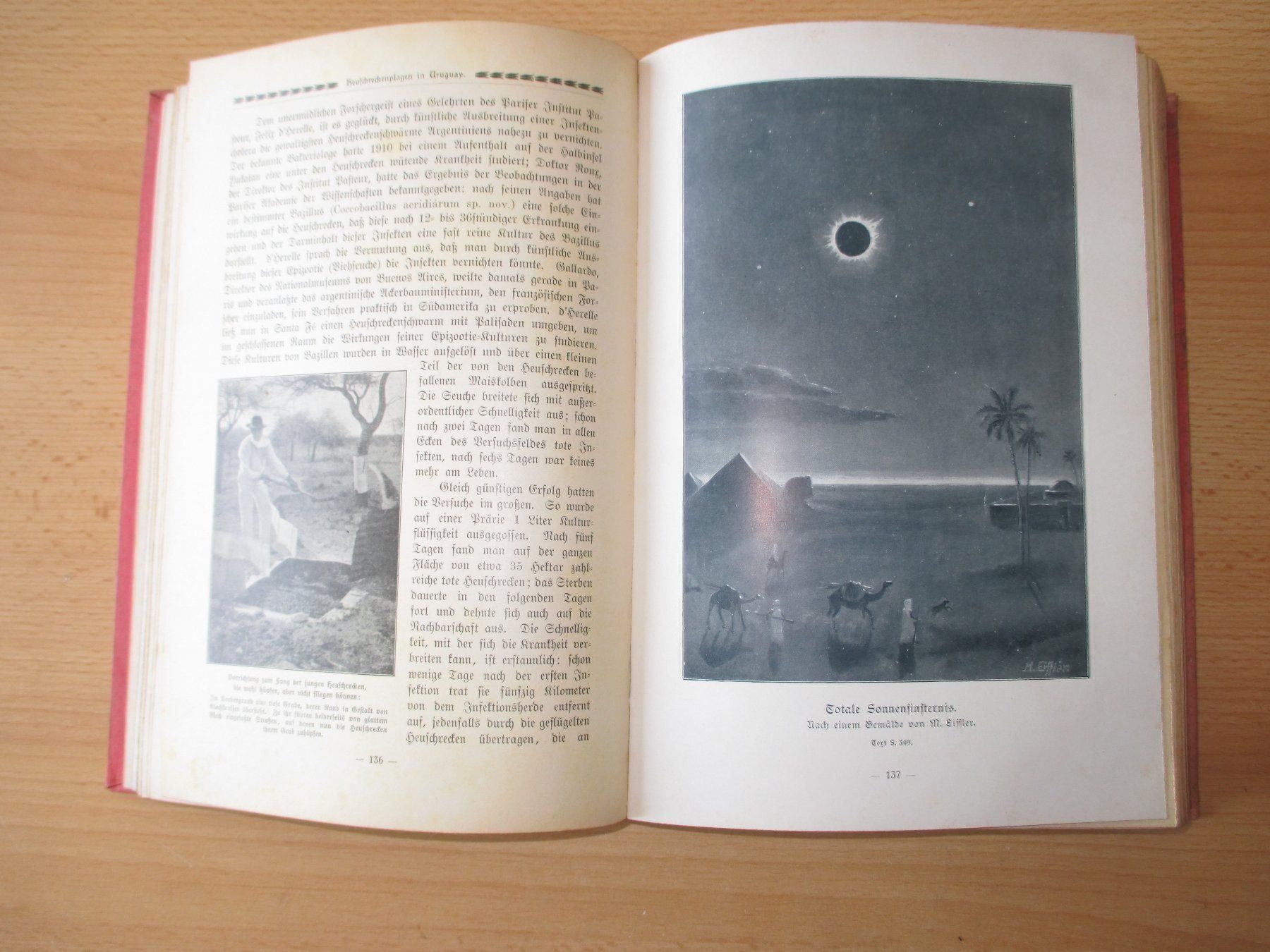 Livres: Das grosse Weltpanorama, 1914 – D'occasion à Flims - Dorf par Stagediver 5