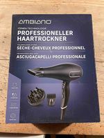 Sèche-cheveux professionnel