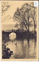 Am Zürichhorn - animee