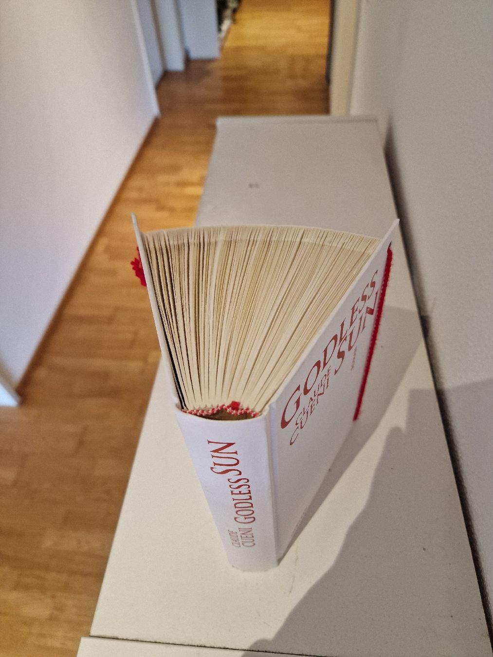 Toutes les décorations: Buchkunst zum Verschenken – D'occasion à Gunzgen par superdancer67 3