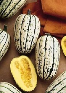 Piante & sementi: diverse Gemüsesamen aus Bio- Anbau – Nuovo e nell'imballaggio originale da Huttwil venduto da Groempix 9