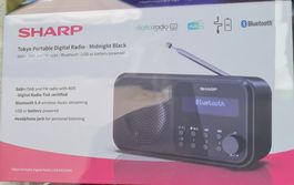 Sharp dr-p420 Digital Radio Bluetooth dap+ FM Batterie Strom
