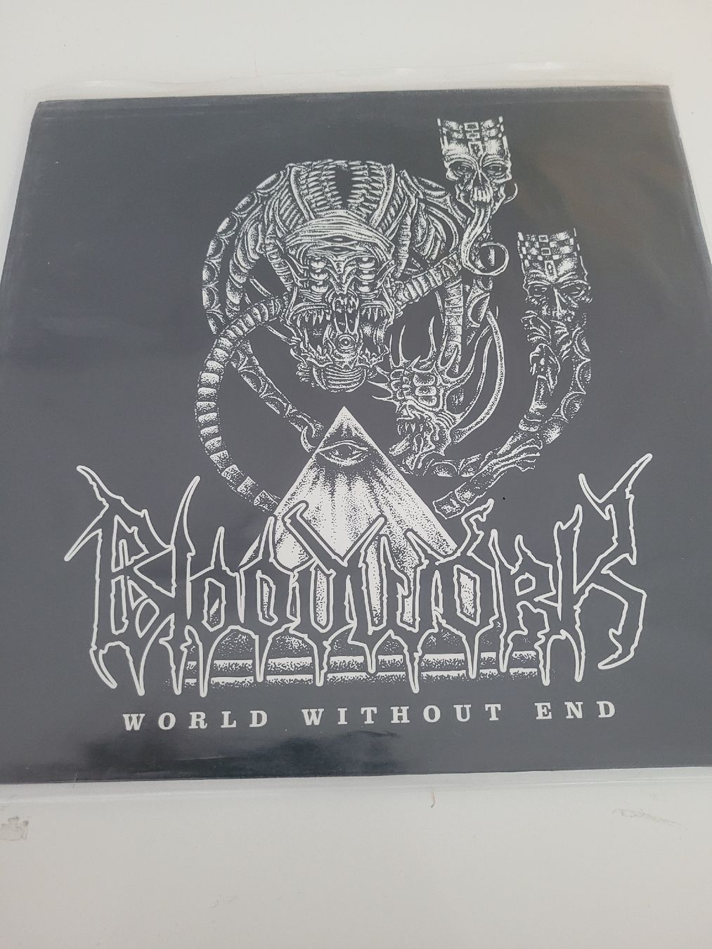 Dischi in vinile: Bloodwork - World Without End Vinyl LP – Usato da Münsingen venduto da Drachenwurst
