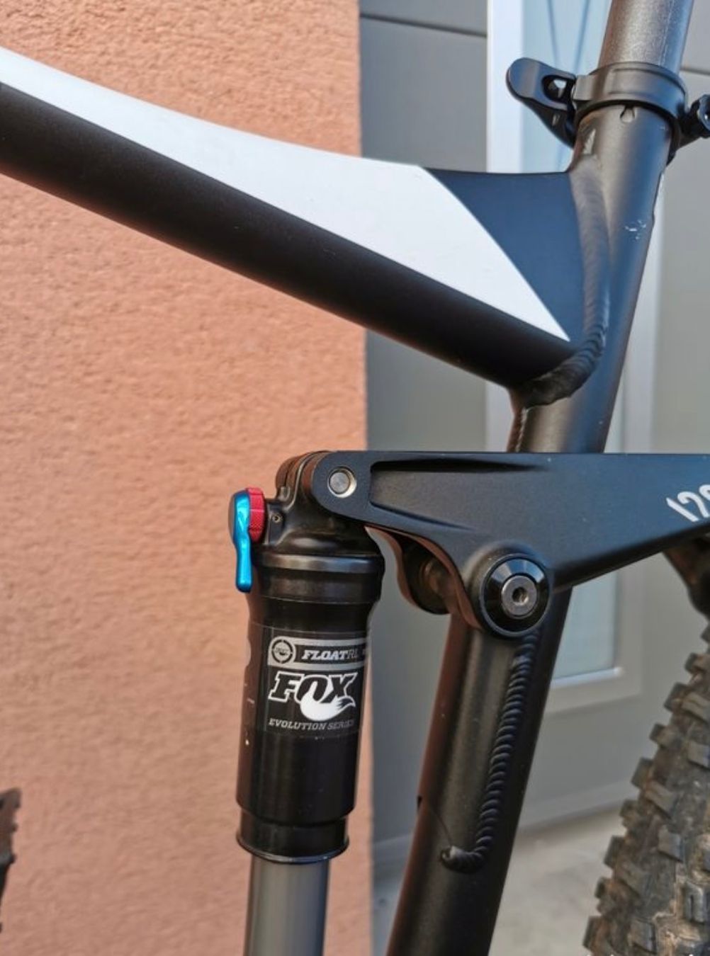 Canyon Biciclette: Canyon Nerve xc – Usato da Zürich venduto da ale_5vtf 1