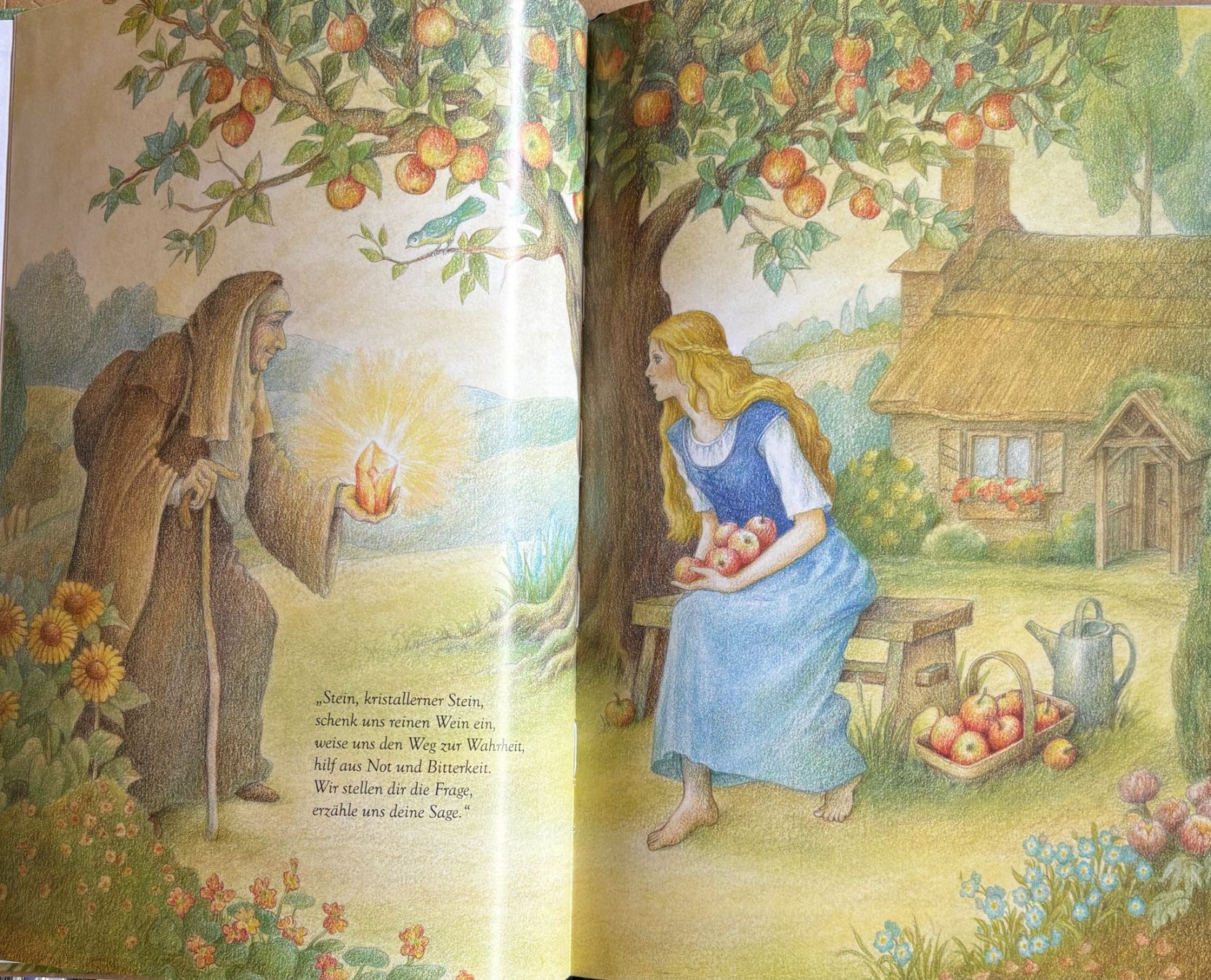 Bücher: Kratzer Kristine, Vergissmeinnicht – Neu (gemäss Beschreibung) aus Sarnen von Livres 3