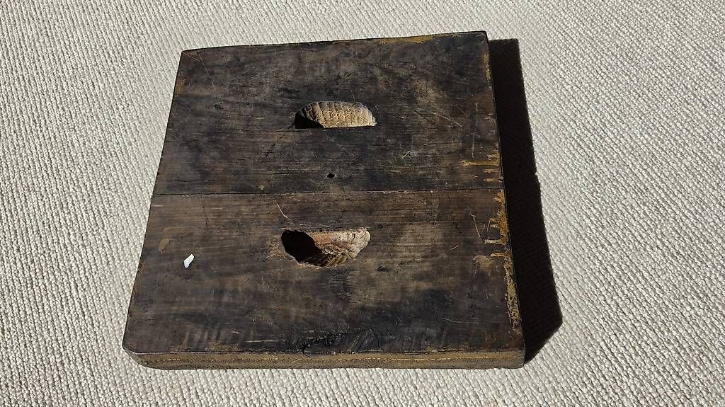 RC Modellbau: Model 10 – Gebraucht aus Linthal von TriedRicardo 1