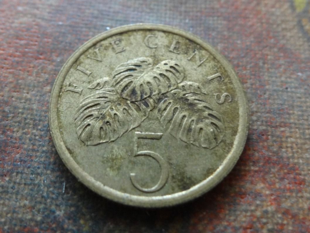 Alle Münzen: SINGAPOUR  5  Cents  1986 – Gebraucht aus Romanel-sur-Lausanne von Swift13 1