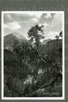 AK sw Val Sinestra GR Valsot,Kurhaus,Brancla ≈ 1956