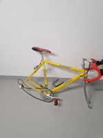 Luongo Rennvelo ohne Räder komponente Sachs New Success