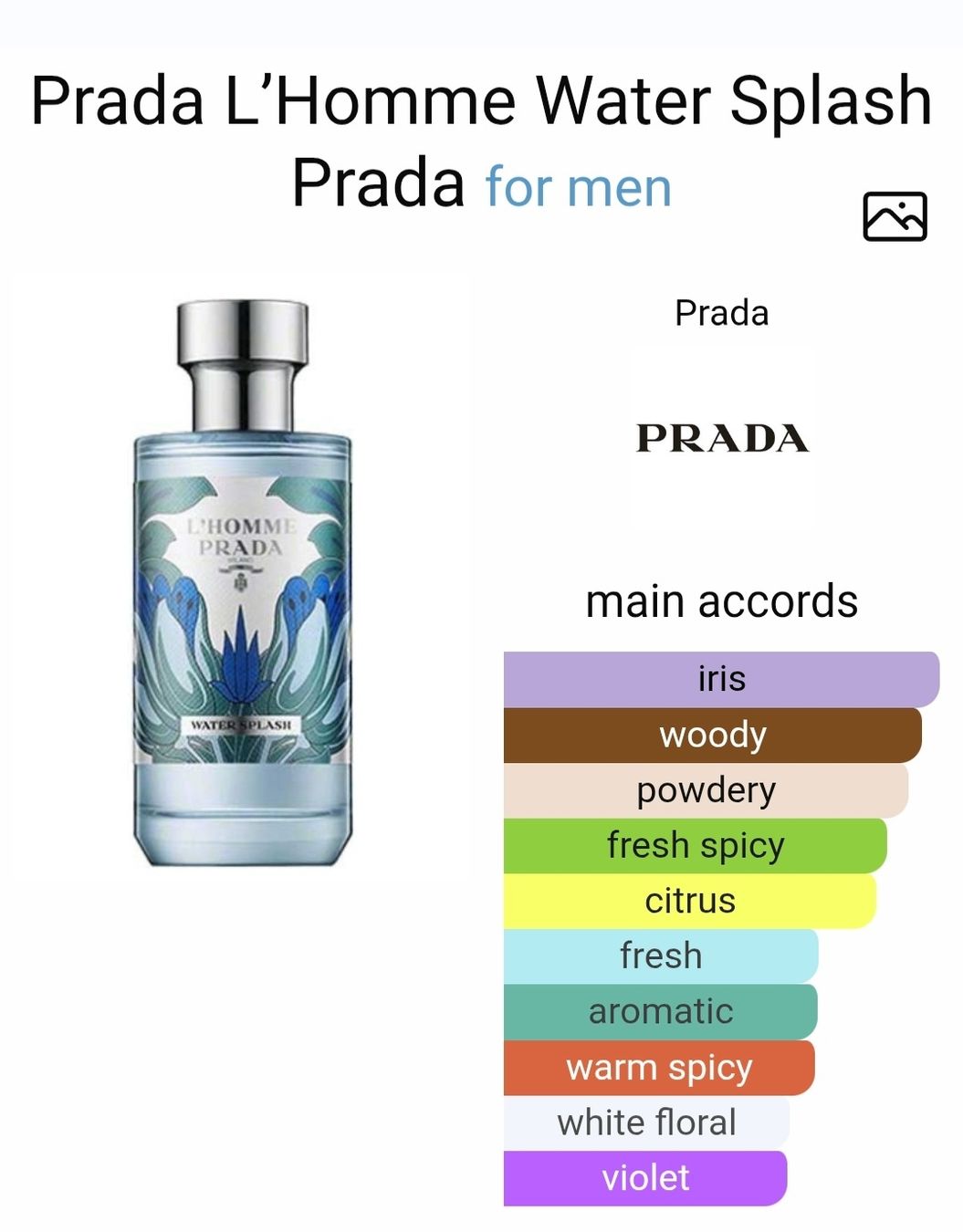Prada Profumi & Eau de Toilette: PRADA l homme water splash – Nuovo (secondo la descrizione) da Utzigen venduto da DRAGONY23 2