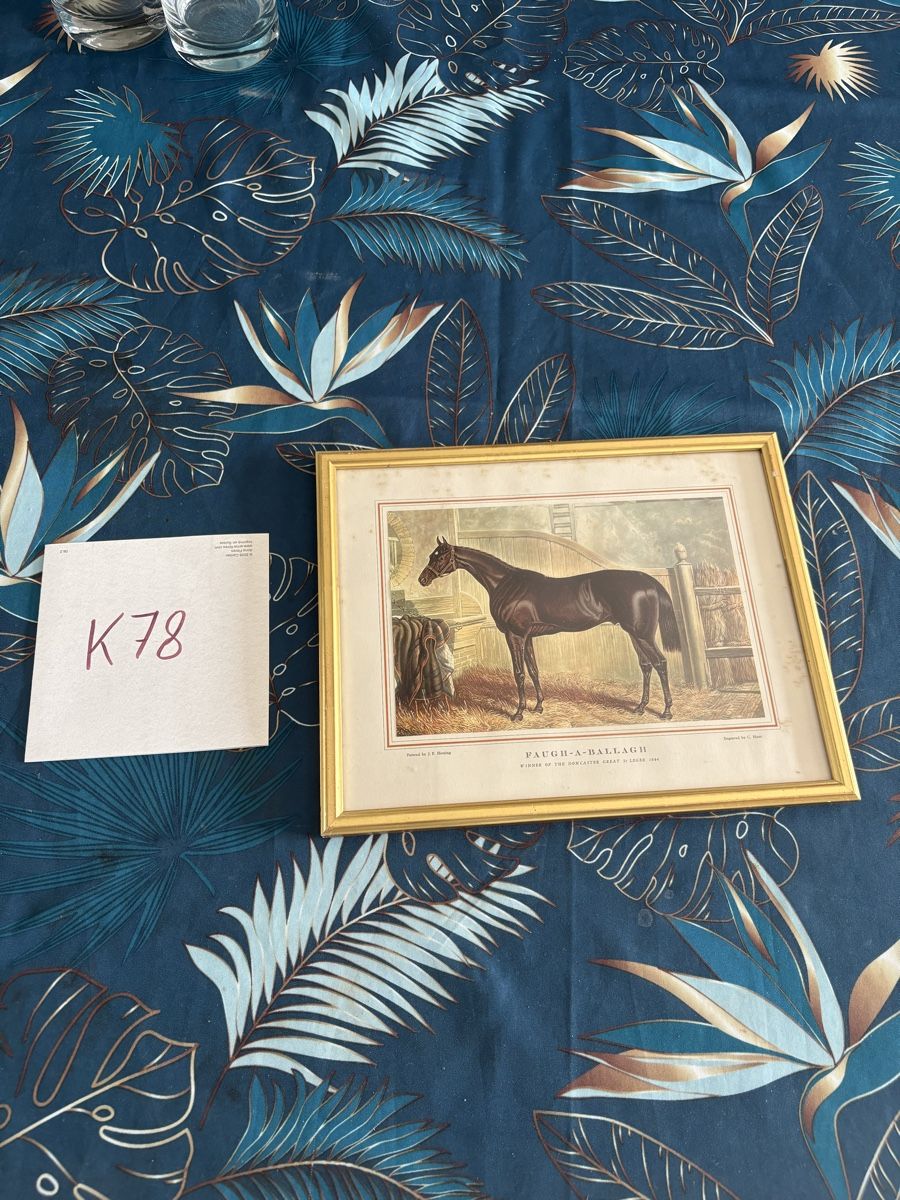 Arts picturaux & lithographies: Gravure cheval – D'occasion à Cugy FR par K78