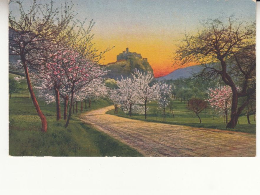 Cartoline postali: Künstlerkarte Landschaft 1916 – Usato da Bürglen TG venduto da StampGraf