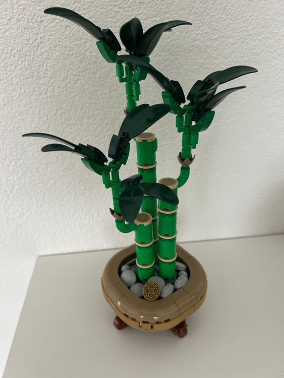 Lego Botanical Collection - Bambou de la chance (10344) (D'occasion) à ...