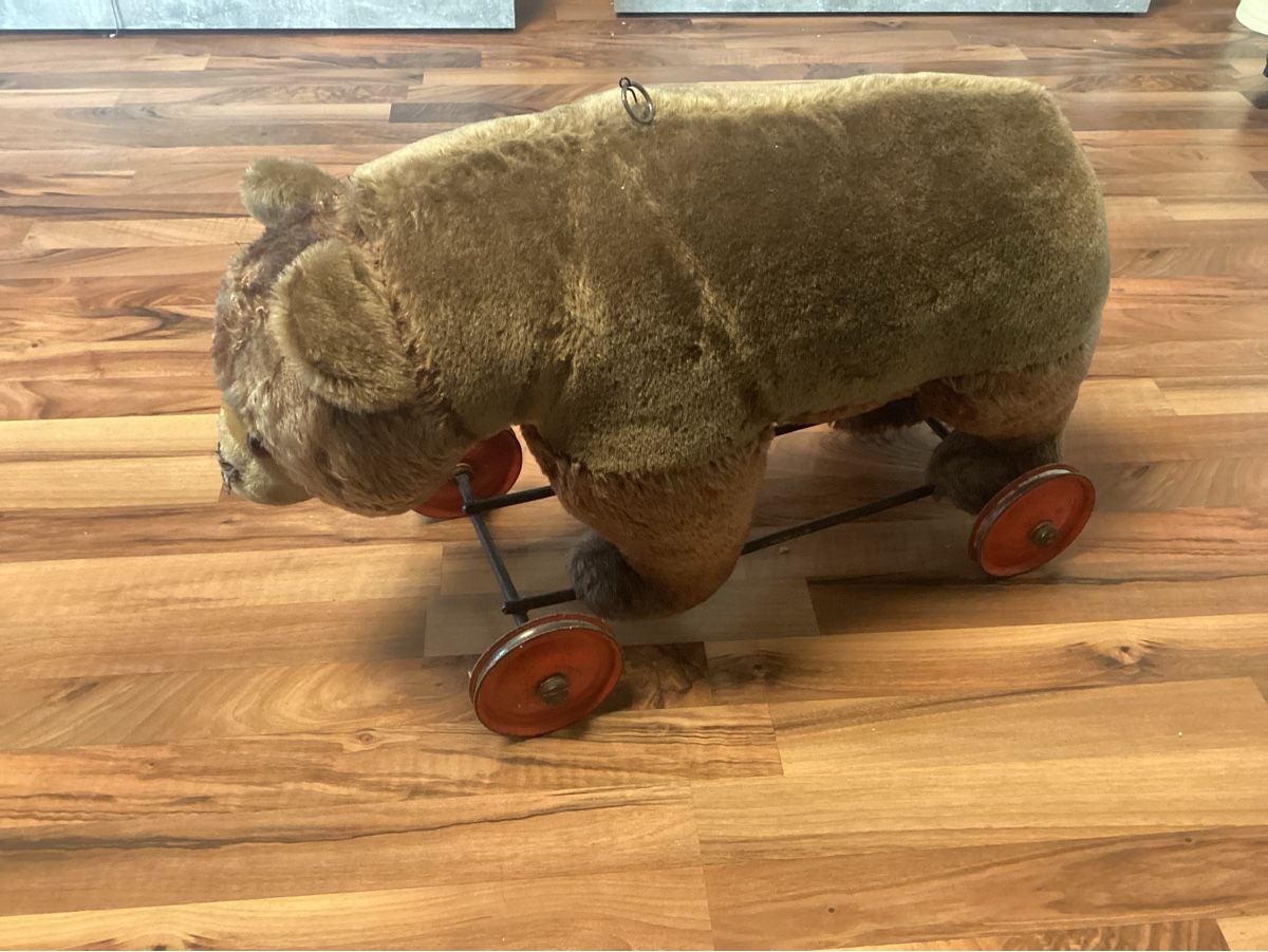 Steiff Spielzeuge: ALTER STEIFF TEDDY AUF RÄDER – Gebraucht aus Münchenstein von NoSu98 1