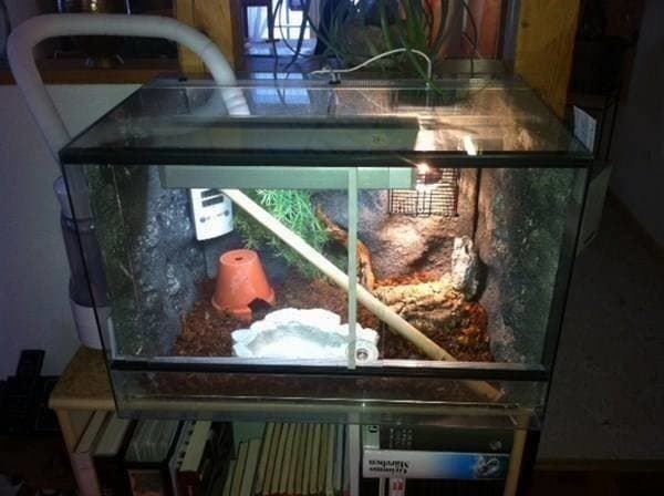 Terrario: Terrarium, Topzustand – Usato da Einsiedeln venduto da Brocki59 3