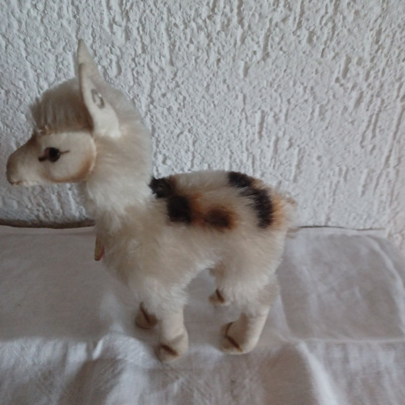 Steiff Giocattoli: herziges Lama von Steiff 17 cm gross – Usato da Abtwil SG venduto da luupsy 1