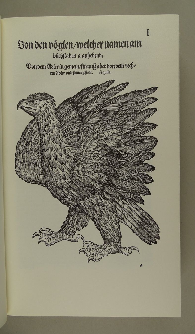 Libri: CONRAD GESSNER: VOGELBUCH, FAKSIMILE – Usato da Grüningen venduto da Kartensammler 1