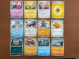 Pokemon 12er Karten Set (Versand gratis)
