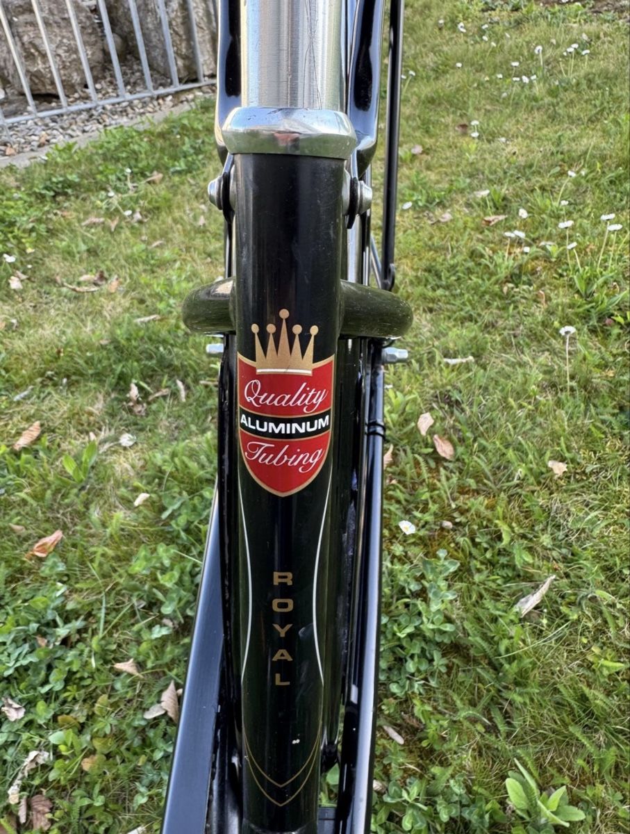 Biciclette: Electra royal Amsterdam, Hollandvelo – Usato da Fällanden venduto da Caramel7 8