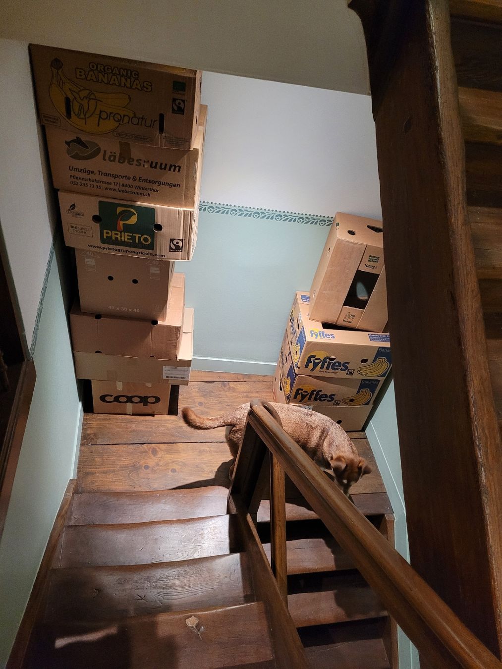 Kartons: Umzugskartons 10 Stück – Gebraucht aus Bülach von wannabeindalight