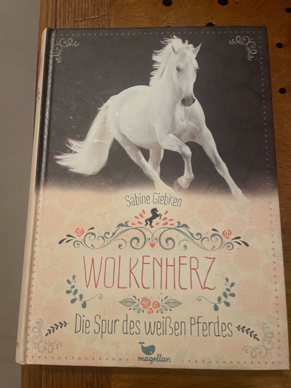Bücher: Buch Wolkenherz – Gebraucht aus Wil Sg von mil_r9gx