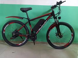 beach cruiser E-Bike