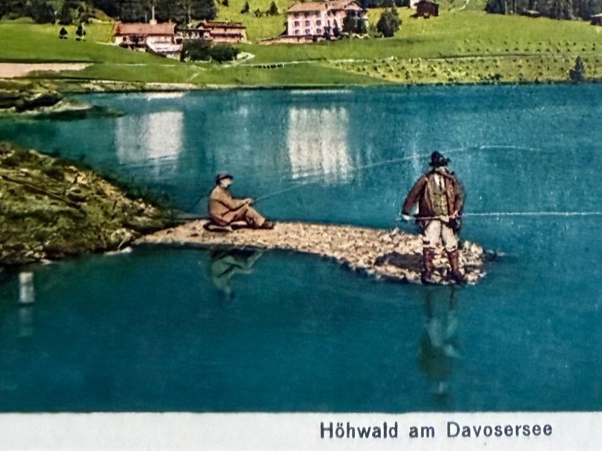Cartes postales: Davosersee - Höhwald - AK – D'occasion à Lutry par Ediego 1