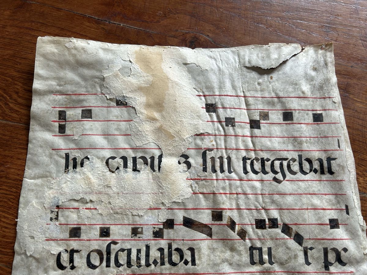 Libri: Pergament Handschrift antik – Usato da Riedholz venduto da Frettchen63 5