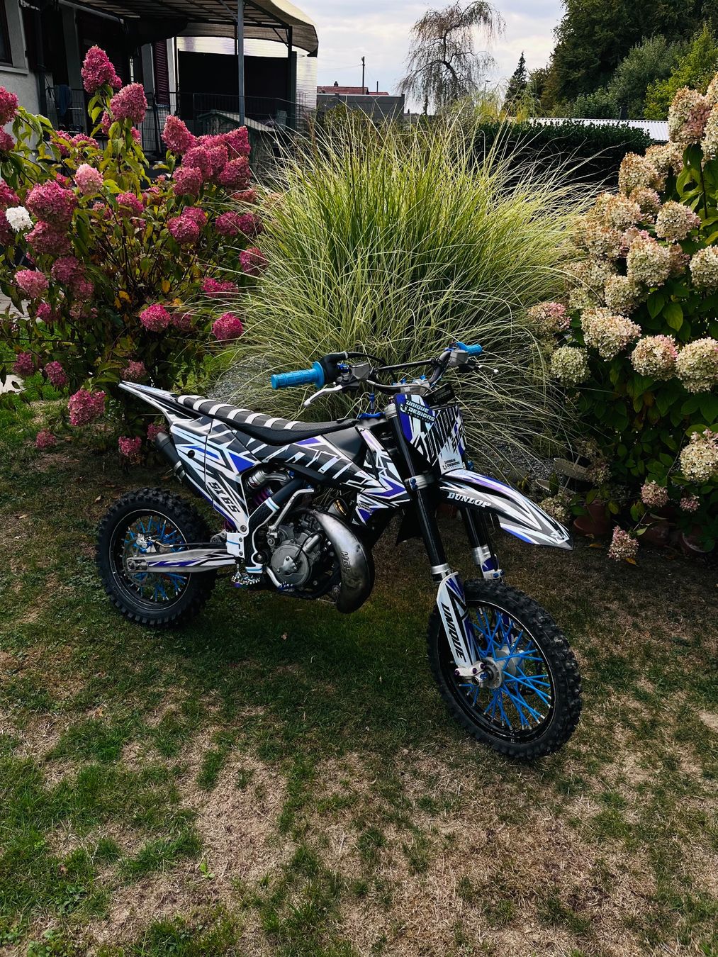 KTM Enduro: KTM SX 65 – Usato da Safenwil venduto da rom_ct95 7