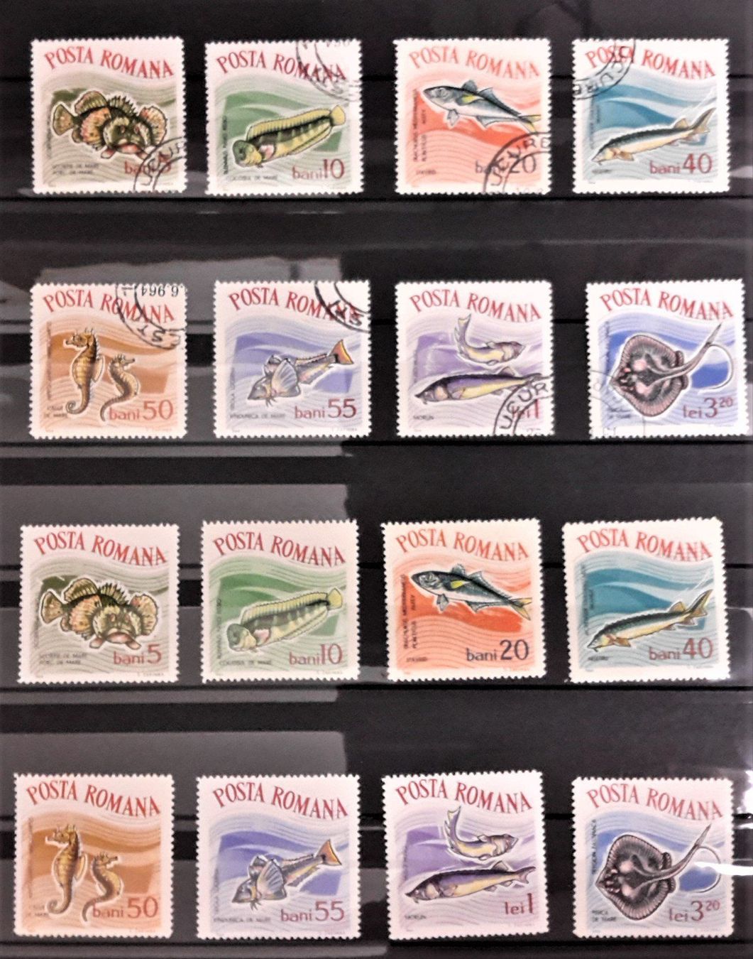Alle Briefmarken: Internationale Briefmarken THEMA-Sammlung  "FISCHE DER WELT" – Neu (gemäss Beschreibung) aus Zug von Aeschroot 9