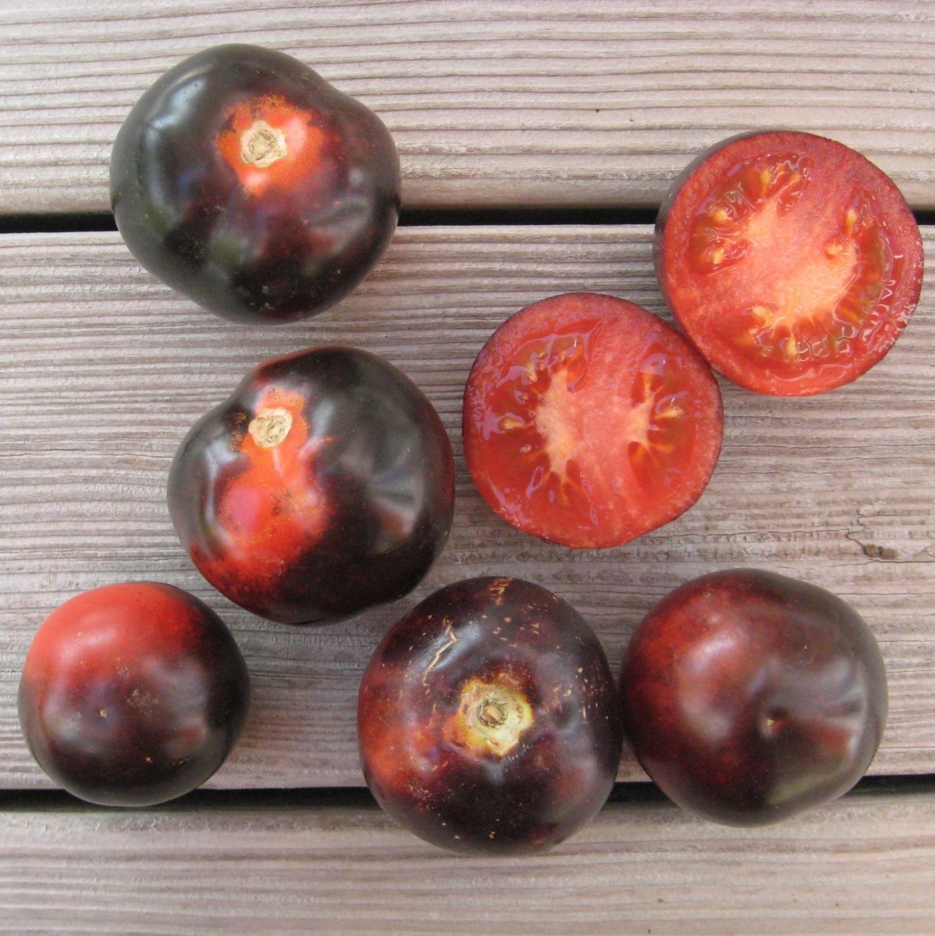 Piante & sementi: Indigo Rose - Cocktailtomate - 15 Samen – Nuovo e nell'imballaggio originale da Sumiswald venduto da Cham14559 1
