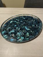 Schönes Tablar mit Muscheln