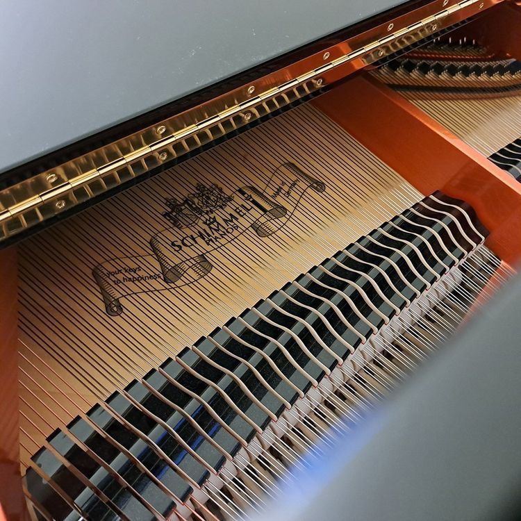 Strumenti musicali: C 189 schwarz poliert - Ausstellungsmodell – Nuovo (secondo la descrizione) da Ittigen venduto da KrompholzMusik 4