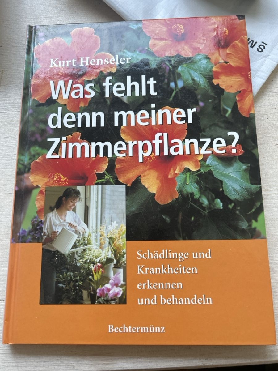Libri: Ratgeber Zimmerpflanzen  – Usato da Aarwangen venduto da familiejoerin