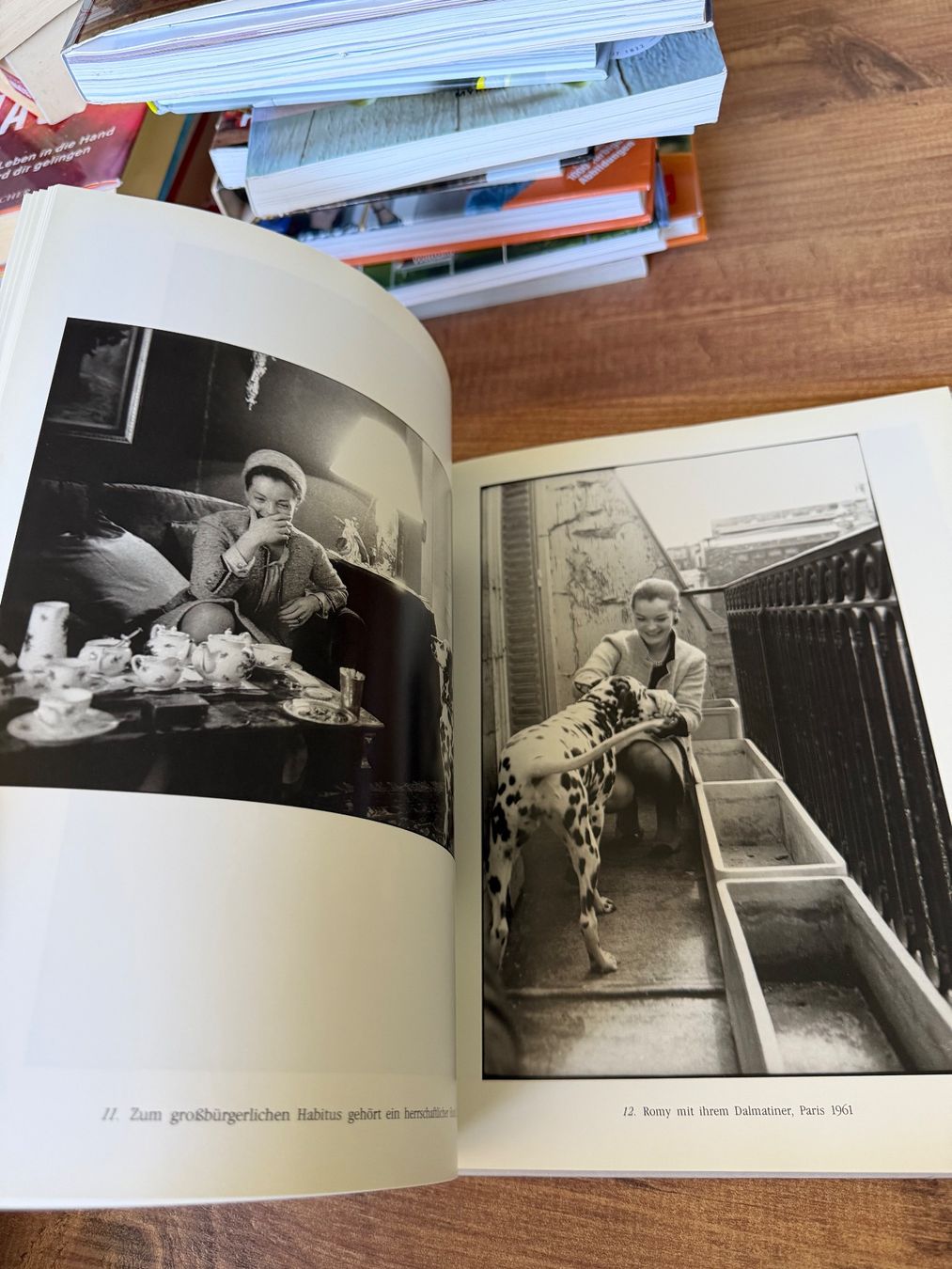 Libri: Romy Schneider Bildband "C'est la vie" – Usato da Nussbaumen AG venduto da normajeanbaker 6