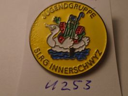 1 SLRG Innerschwyz Jugendgruppe Schwimmabzeichen (U253)