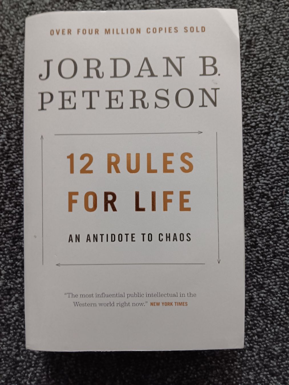 Libri: 12 Rules for Life - Jordan B. Peterson – Usato da Ermatingen venduto da rik4rdo