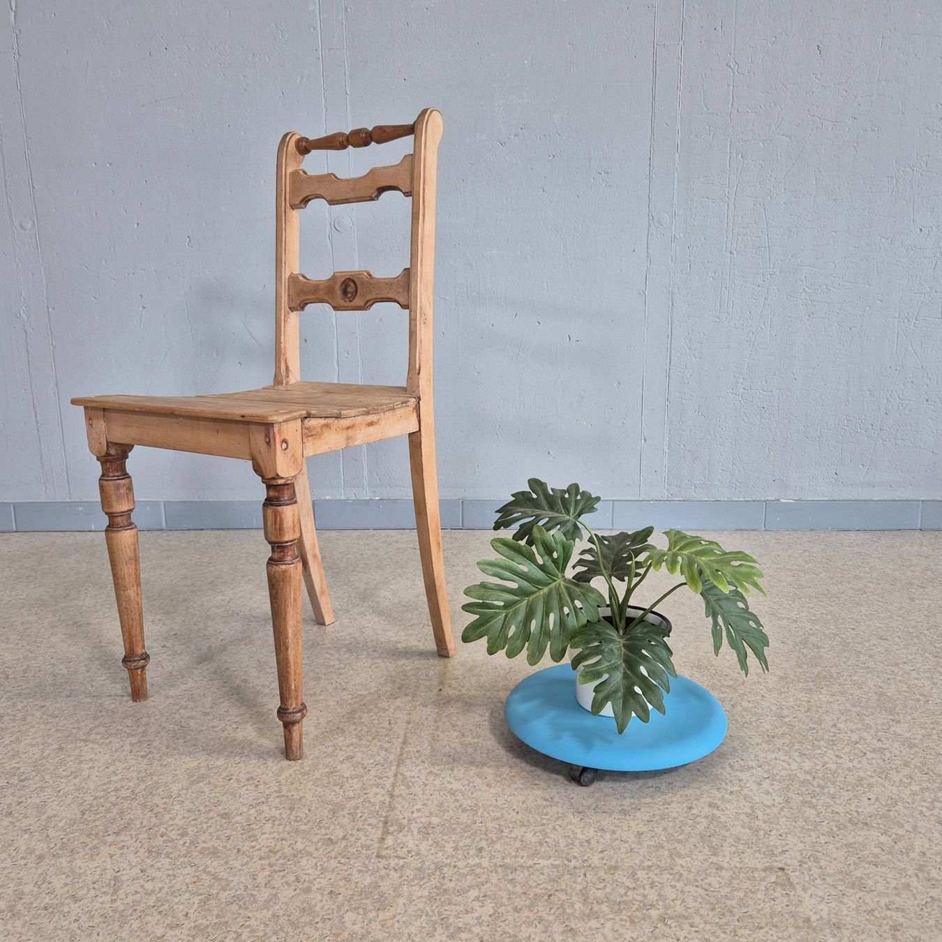 Altro per la casa: Blumenständer Pflanzenroller Blumenhocker Blumenroller – Usato da Nottwil venduto da Wondewa-Shop 1