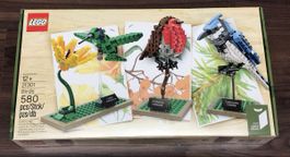 LEGO Ideas 21301 Wildvögel Birds NEU & OVP