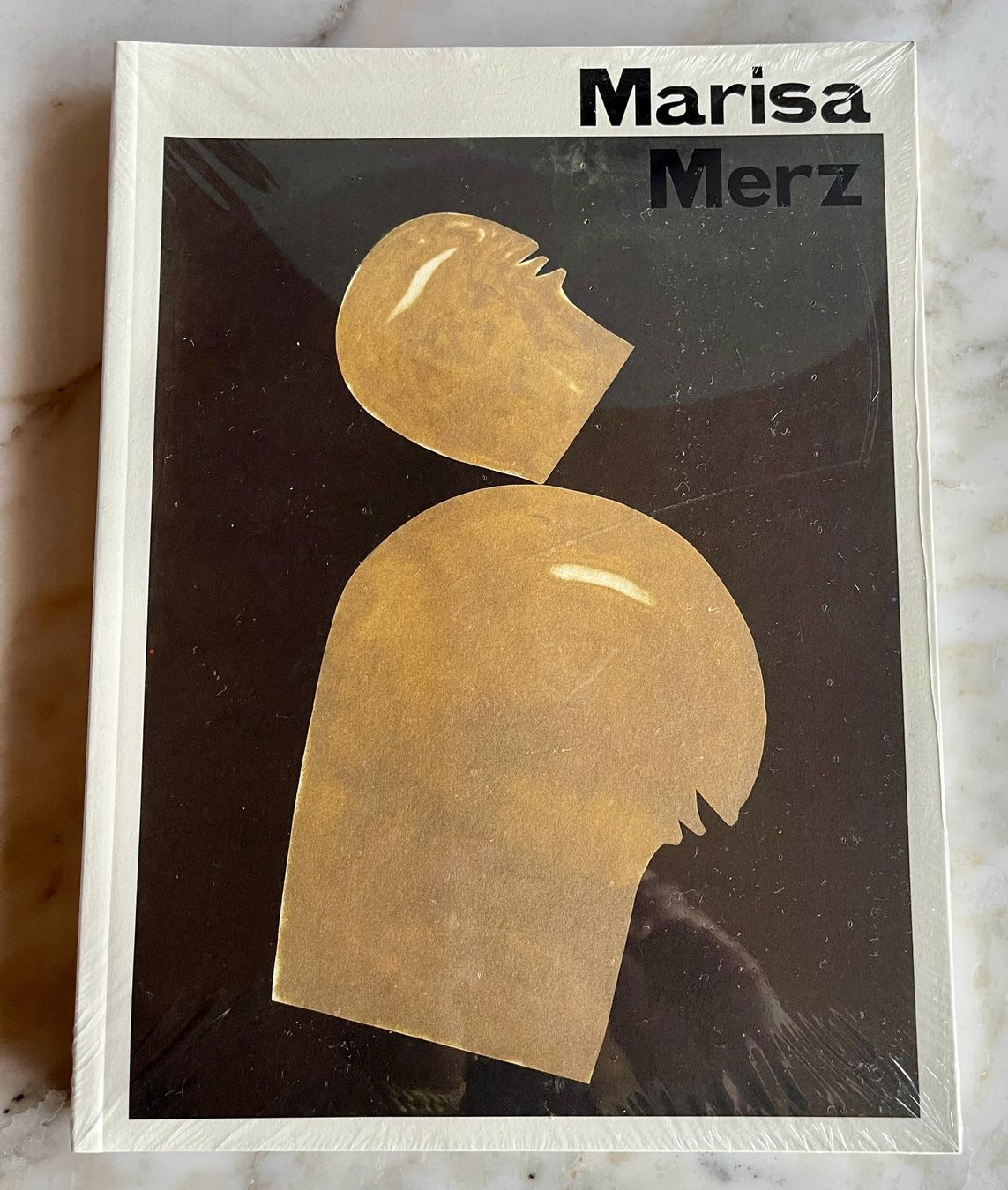 Libri: Marisa Merz – Nuovo e nell'imballaggio originale da Bern venduto da cubus01