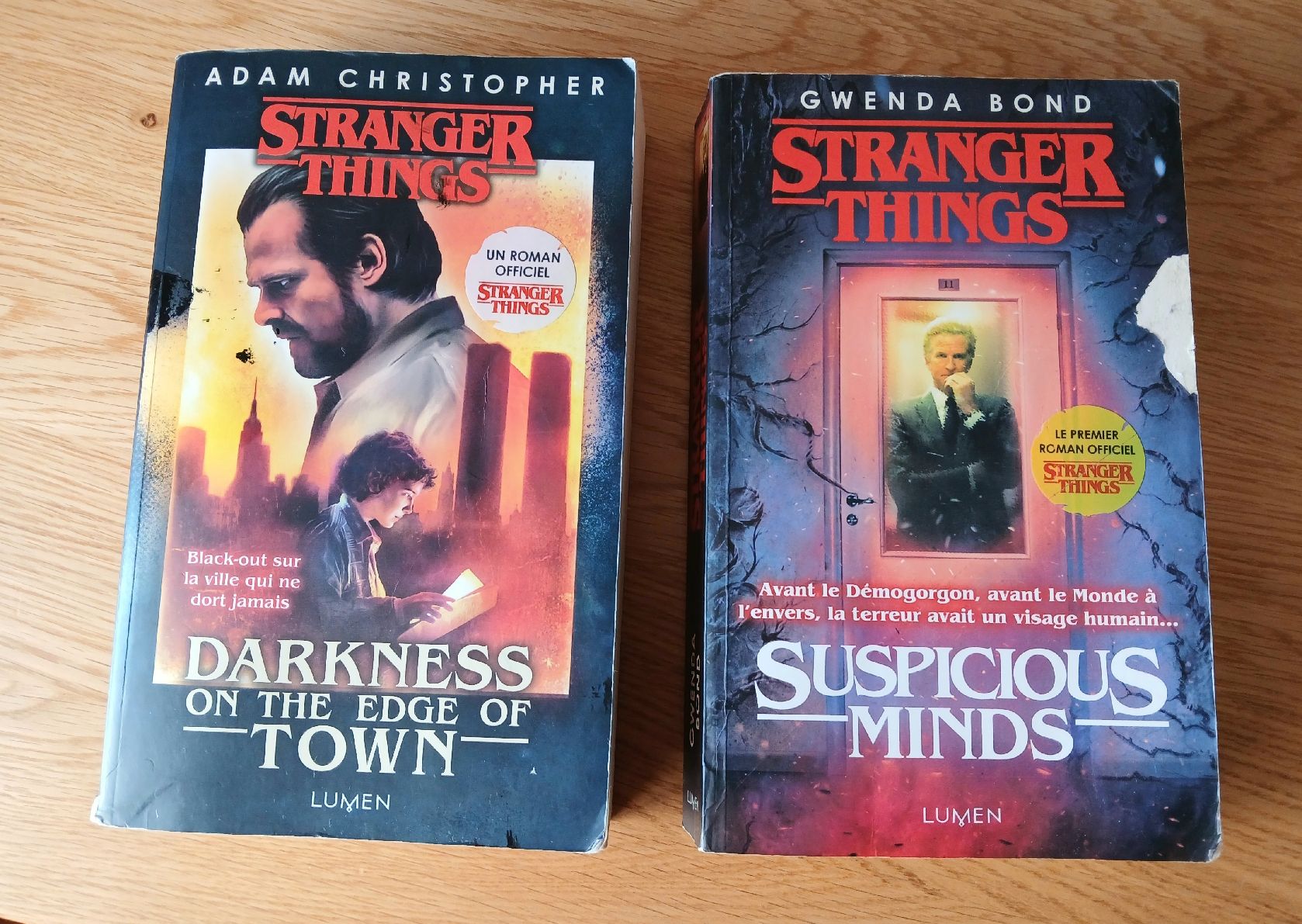 Bücher: Lot 2 Livres Stranger Things – Gebraucht aus Sciernes-d'Albeuve von Dojo004