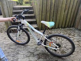 Velo 24 Zoll