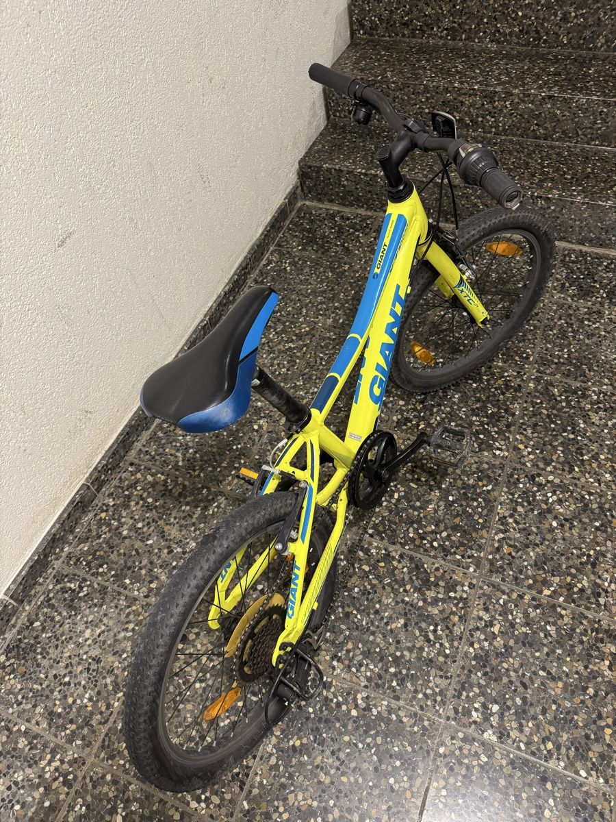 Giant Biciclette: Giant Kindervelo, 20 Zoll – Usato da Baden venduto da Flooneych 5