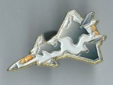 Plaquettes & Badges: Jet-Pin / Flugzeug mit Tarnfarben – D'occasion à Zürich par t24_de