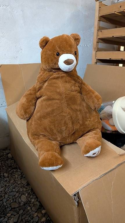 Jouets: Riesen Teddybär unbenutzt – D'occasion à Romanshorn par Heinz_ketchup