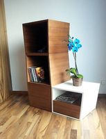 Design Regal / Möbel vom Schreiner, einzigartig